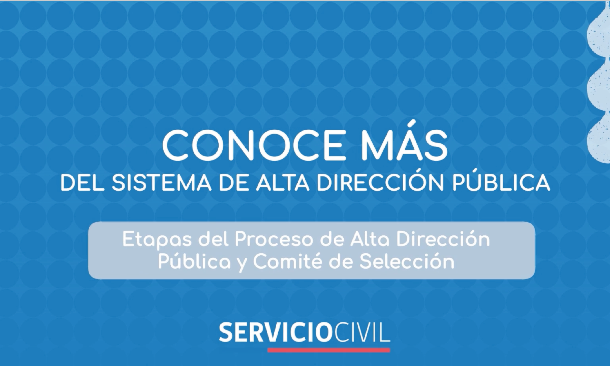 Etapas del Proceso de ADP y Comité de Selección
